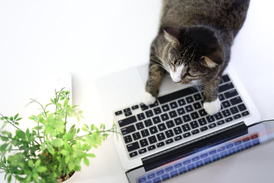 laptop keyboard not working